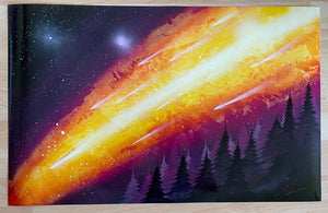 METEOR SHOWER OVER FOREST